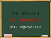 人教版高中生物必修一 3.2细胞器之间的分工合作 第2课时 细胞器之间的分工合作 课件 课件