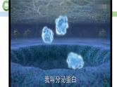 人教版高中生物必修一 3.2细胞器之间的分工合作 第2课时 细胞器之间的分工合作 课件 课件