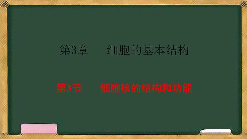 人教版高中生物必修一 3.3细胞核的结构和功能 课件第1页