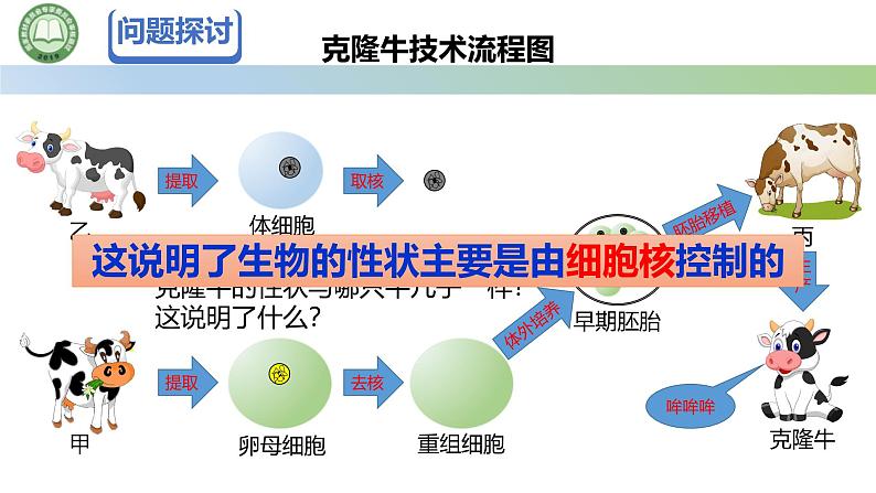 人教版高中生物必修一 3.3细胞核的结构和功能 课件第2页