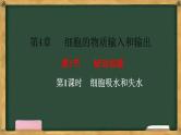 人教版高中生物必修一 4.1被动运输 第1课时　细胞吸水和失水 课件