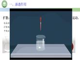 人教版高中生物必修一 4.1被动运输 第1课时　细胞吸水和失水 课件