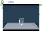 人教版高中生物必修一 4.1被动运输 第1课时　细胞吸水和失水 课件