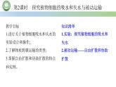 人教版高中生物必修一 4.1被动运输  第2课时　探究植物细胞的吸水和失水与被动运输 课件
