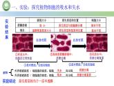 人教版高中生物必修一 4.1被动运输  第2课时　探究植物细胞的吸水和失水与被动运输 课件