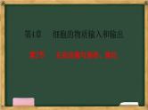 人教版高中生物必修一 4.2主动运输与胞吞、胞吐 课件