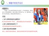 人教版高中生物必修一 5.1降低化学反应活化能的酶  第1课时 酶的作用和本质 课件