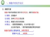 人教版高中生物必修一 5.1降低化学反应活化能的酶  第1课时 酶的作用和本质 课件