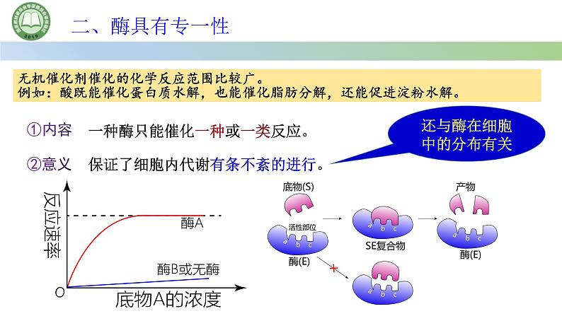 人教版高中生物必修一 5.1降低化学反应活化能的酶  第2课时 酶的特性 课件第3页