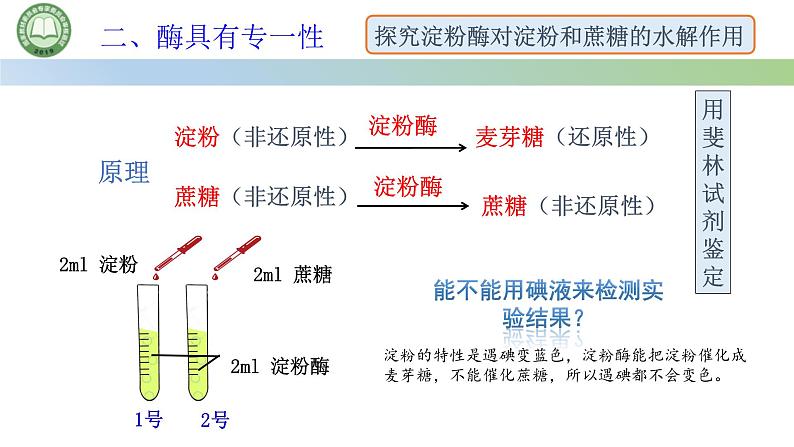 人教版高中生物必修一 5.1降低化学反应活化能的酶  第2课时 酶的特性 课件第5页