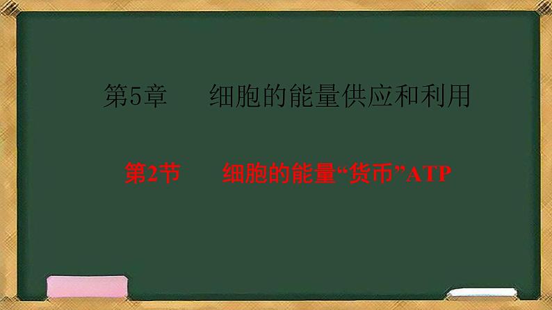 人教版高中生物必修一 5.2细胞的能量“货币”ATP 课件第1页