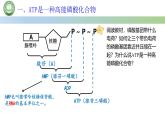 人教版高中生物必修一 5.2细胞的能量“货币”ATP 课件