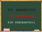 人教版高中生物必修一 5.3细胞呼吸的原理和应用  第1课时 探究酵母菌细胞呼吸的方式 课件