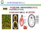人教版高中生物必修一 5.3细胞呼吸的原理和应用  第1课时 探究酵母菌细胞呼吸的方式 课件