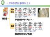 人教版高中生物必修一 5.3细胞呼吸的原理和应用  第1课时 探究酵母菌细胞呼吸的方式 课件
