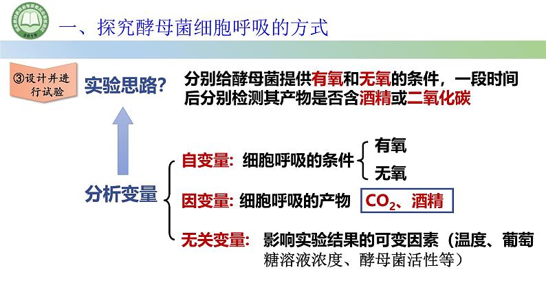 人教版高中生物必修一 5.3细胞呼吸的原理和应用  第1课时 探究酵母菌细胞呼吸的方式 课件第7页