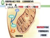 人教版高中生物必修一 5.3细胞呼吸的原理和应用  第2课时 细胞呼吸 课件