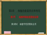 人教版高中生物必修一 5.3细胞呼吸的原理和应用  第3课时 细胞呼吸原理的应用 课件