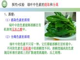 人教版高中生物必修一 5.4光合作用与能量转化  第1课时 捕获光能的色素和结构 课件