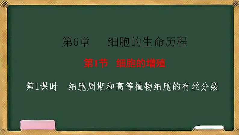 人教版高中生物必修一 第6章   细胞的生命历程 第1节细胞的增殖 第1课时 细胞周期和高等植物细胞的有丝分裂 课件第1页