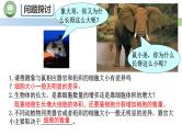 人教版高中生物必修一 第6章   细胞的生命历程 第1节细胞的增殖 第1课时 细胞周期和高等植物细胞的有丝分裂 课件