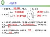 人教版高中生物必修一 第6章   细胞的生命历程 第1节细胞的增殖 第1课时 细胞周期和高等植物细胞的有丝分裂 课件