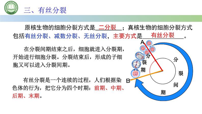 人教版高中生物必修一 第6章   细胞的生命历程 第1节细胞的增殖 第1课时 细胞周期和高等植物细胞的有丝分裂 课件第6页