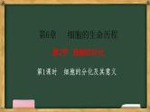 人教版高中生物必修一 第6章   细胞的生命历程 第2节细胞的分化 第1课时 细胞的分化及其意义 课件