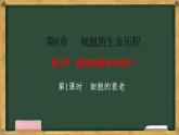 人教版高中生物必修一 第6章   细胞的生命历程 第3节细胞的衰老和死亡 第1课时 细胞的衰老 课件