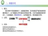 人教版高中生物必修一 第6章   细胞的生命历程 第3节细胞的衰老和死亡 第2课时 细胞的死亡 课件