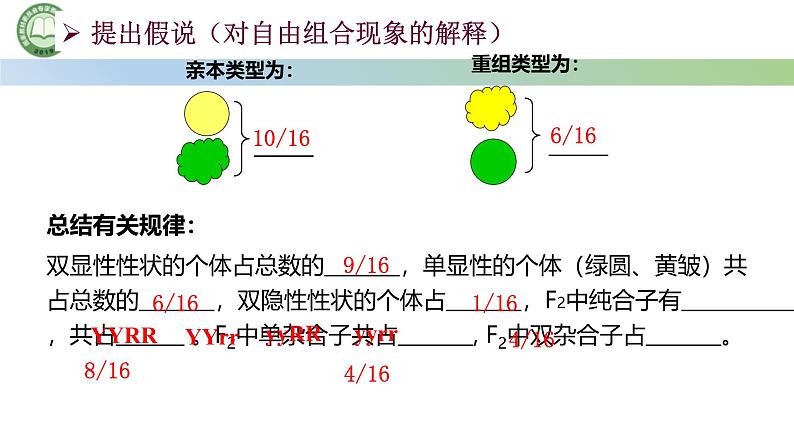 人教版高中生物必修二 1.2孟德尔的豌豆杂交实验（二） 第2课时 对自由组合现象的解释和验证 课件第4页