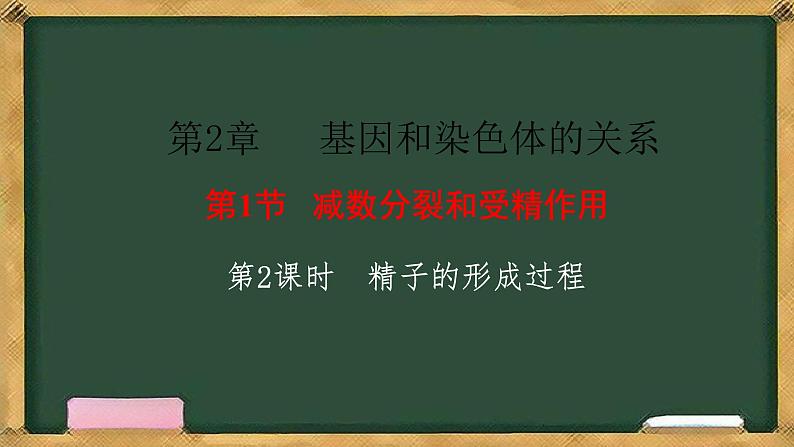 人教版高中生物必修二 2.1减数分裂和受精作用 第2课时 精子的形成过程 课件第1页