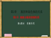 人教版高中生物必修二 2.1减数分裂和受精作用 第4课时 受精作用 课件