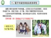 人教版高中生物必修二 2.1减数分裂和受精作用 第4课时 受精作用 课件