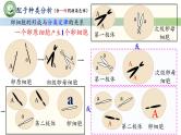 人教版高中生物必修二 2.1减数分裂和受精作用 第4课时 受精作用 课件