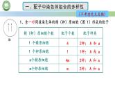 人教版高中生物必修二 2.1减数分裂和受精作用 第4课时 受精作用 课件