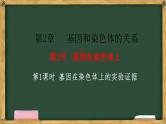 人教版高中生物必修二 2.2基因在染色体上 第1课时 基因在染色体上的实验证据 课件
