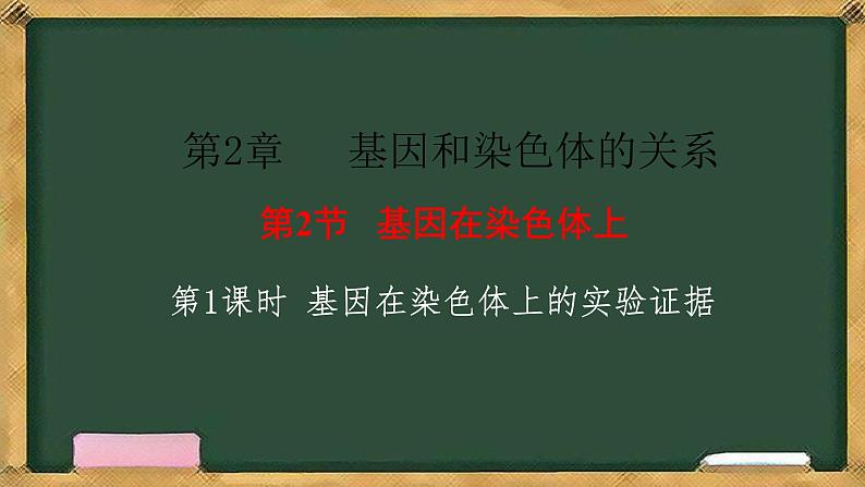 人教版高中生物必修二 2.2基因在染色体上 第1课时 基因在染色体上的实验证据 课件第1页