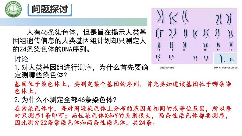 人教版高中生物必修二 2.2基因在染色体上 第1课时 基因在染色体上的实验证据 课件第2页