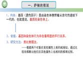 人教版高中生物必修二 2.2基因在染色体上 第1课时 基因在染色体上的实验证据 课件