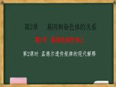 人教版高中生物必修二 2.2基因在染色体上 第2课时 孟德尔遗传规律的现代解释 课件