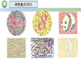 人教版高中生物必修二 2.3伴性遗传 第1课时 人类红绿色盲症 课件