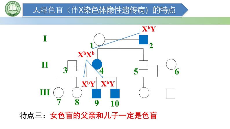 人教版高中生物必修二 2.3伴性遗传 第2课时 伴性遗传 课件第4页