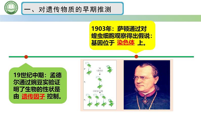 人教版高中生物必修二 3.1DNA是主要的遗传物质 第1课时 肺炎链球菌的转化实验 课件第3页