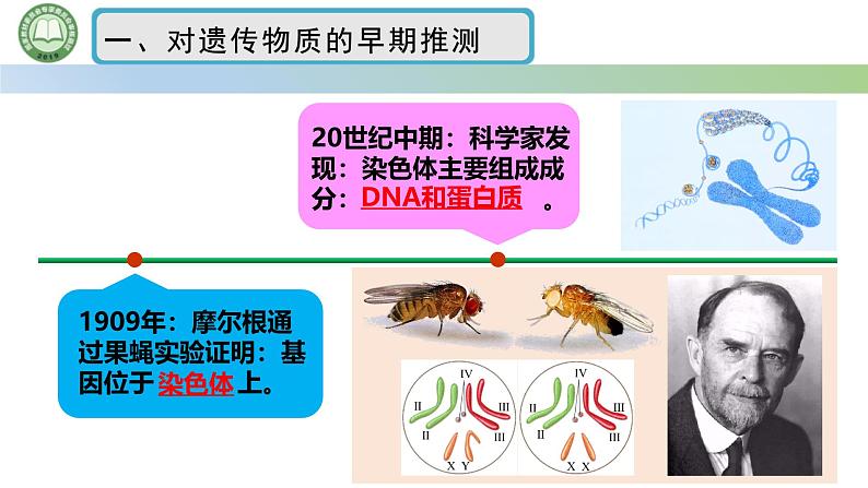 人教版高中生物必修二 3.1DNA是主要的遗传物质 第1课时 肺炎链球菌的转化实验 课件第4页