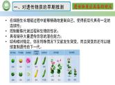 人教版高中生物必修二 3.1DNA是主要的遗传物质 第1课时 肺炎链球菌的转化实验 课件
