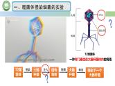 人教版高中生物必修二 3.1DNA是主要的遗传物质 第2课时 噬菌体侵染细菌的实验 课件