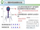 人教版高中生物必修二 3.1DNA是主要的遗传物质 第2课时 噬菌体侵染细菌的实验 课件