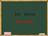 人教版高中生物必修二 3.2DNA的结构 课件
