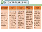 人教版高中生物必修二 3.2DNA的结构 课件